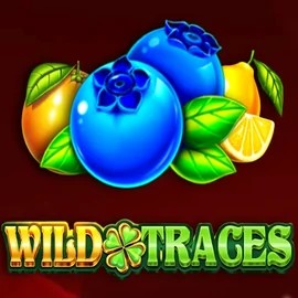 Play Wild Traces slot by Amusnet Interactive on glorious-bingo.co.uk